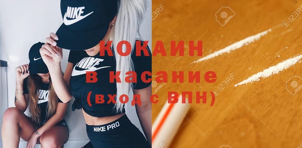 гидра Кинешма