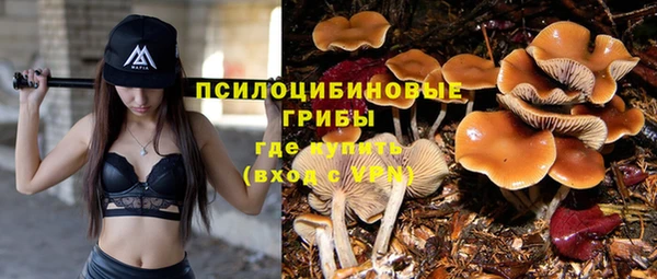 соль ск Киреевск