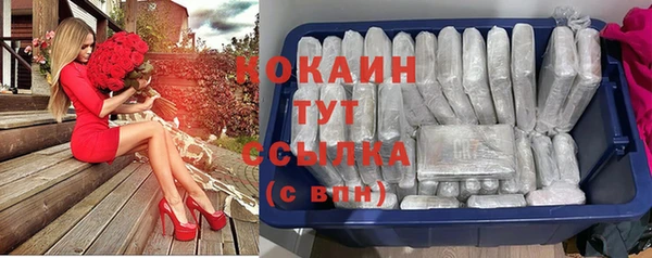 гидра Кинешма