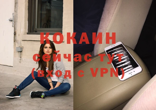 гидра Кинешма