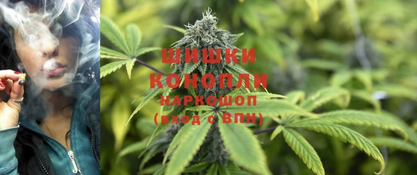 гидра Кинешма